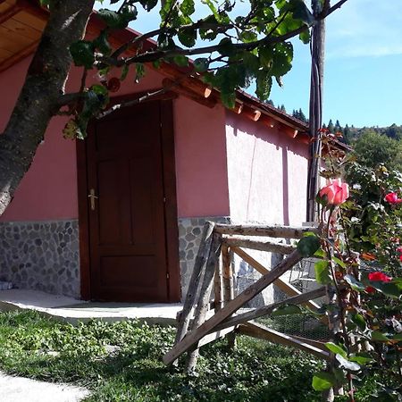 Villa Vrben Luaran gambar