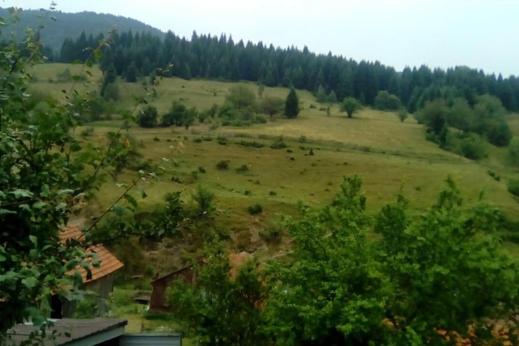 Villa Vrben Luaran gambar