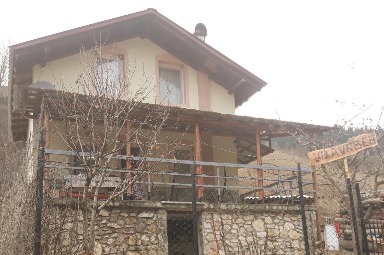 Villa Vrben Luaran gambar