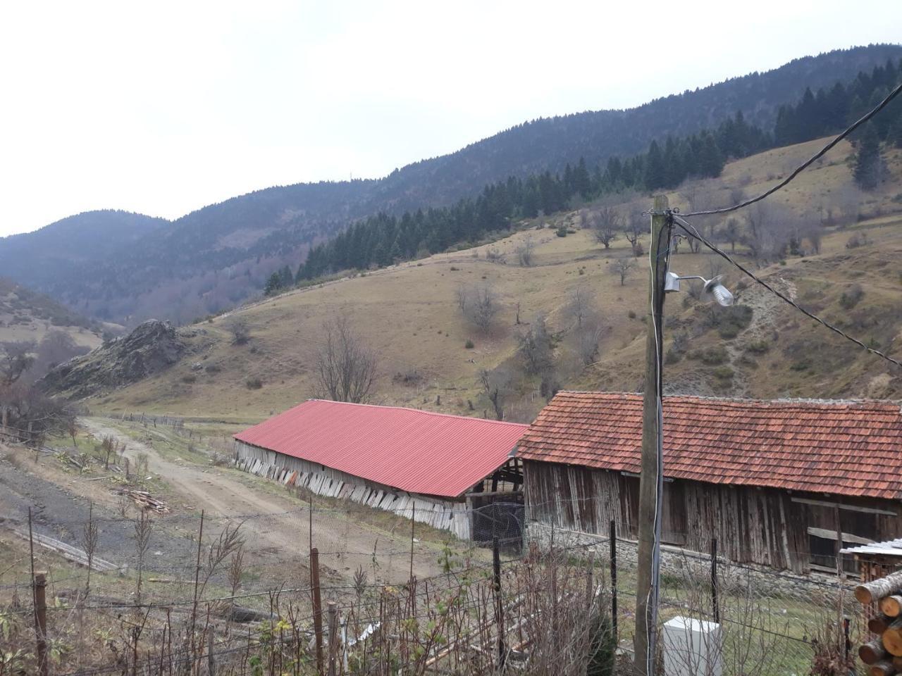 Villa Vrben Luaran gambar