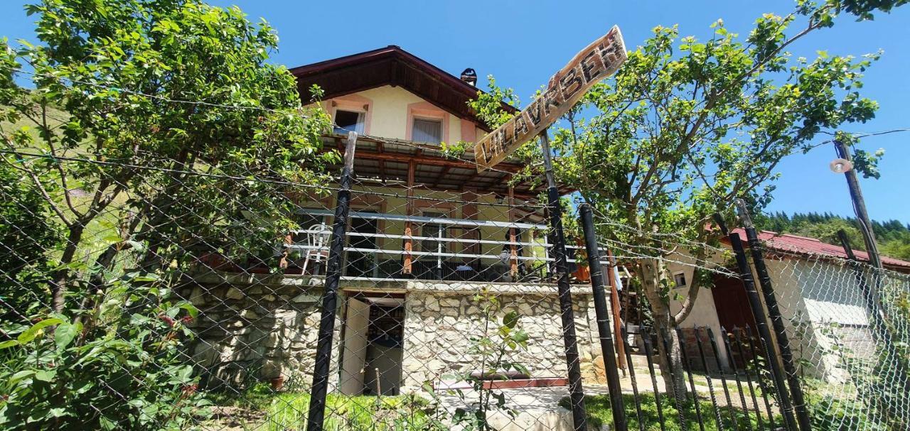 Villa Vrben Luaran gambar