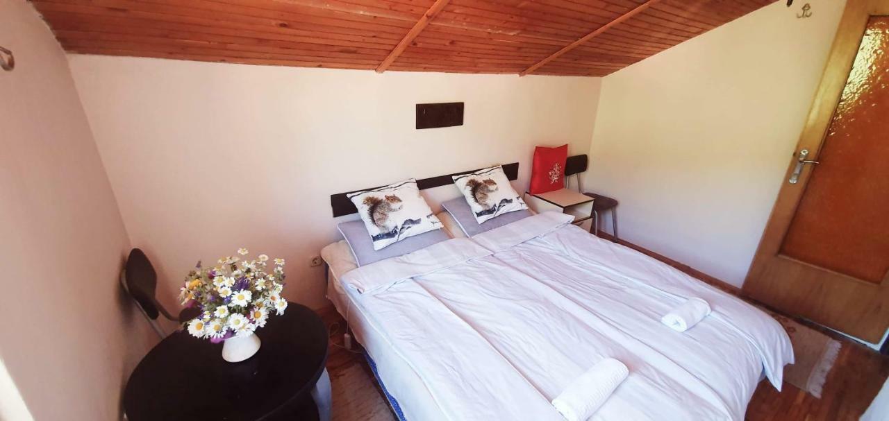 Villa Vrben Luaran gambar